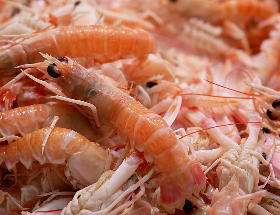 Shrimp, Scampi, Seafood, market, fish market, food and drink