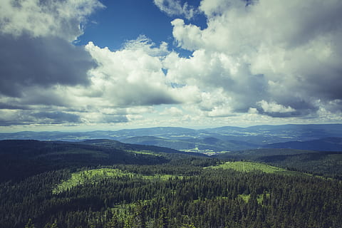 aerial photo of rainforest, more, destination, view, viewpoint HD wallpaper