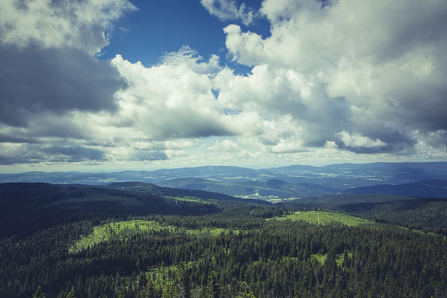 aerial photo of rainforest, more, destination, view, viewpoint HD wallpaper