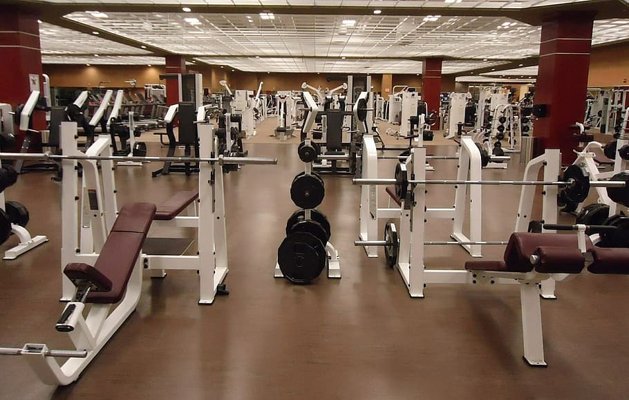 gym equipment, machines, weight, weights, lifting weights, gymnasium, HD wallpaper