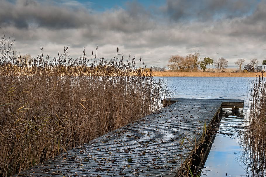 web, lake, sky, clouds, reed, dramatic clouds, cloud - sky HD wallpaper