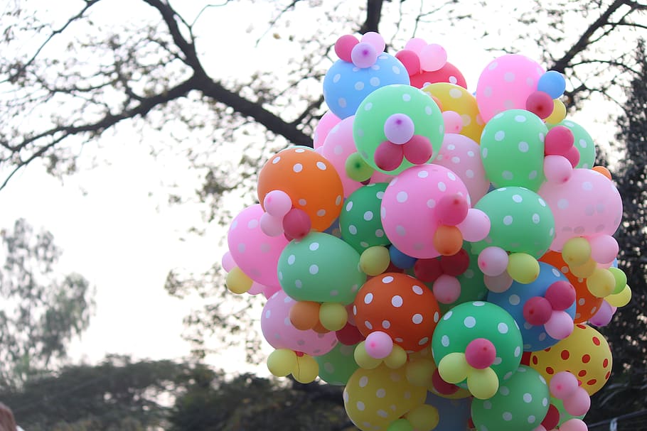 balloon, color, fun, beautiful, multi colored, tree, nature HD wallpaper