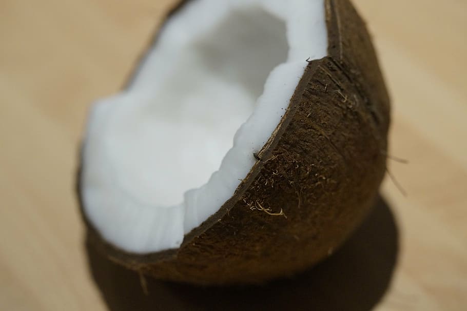 brown coconut shell, half, coconut half, pulp, white, delicious HD wallpaper