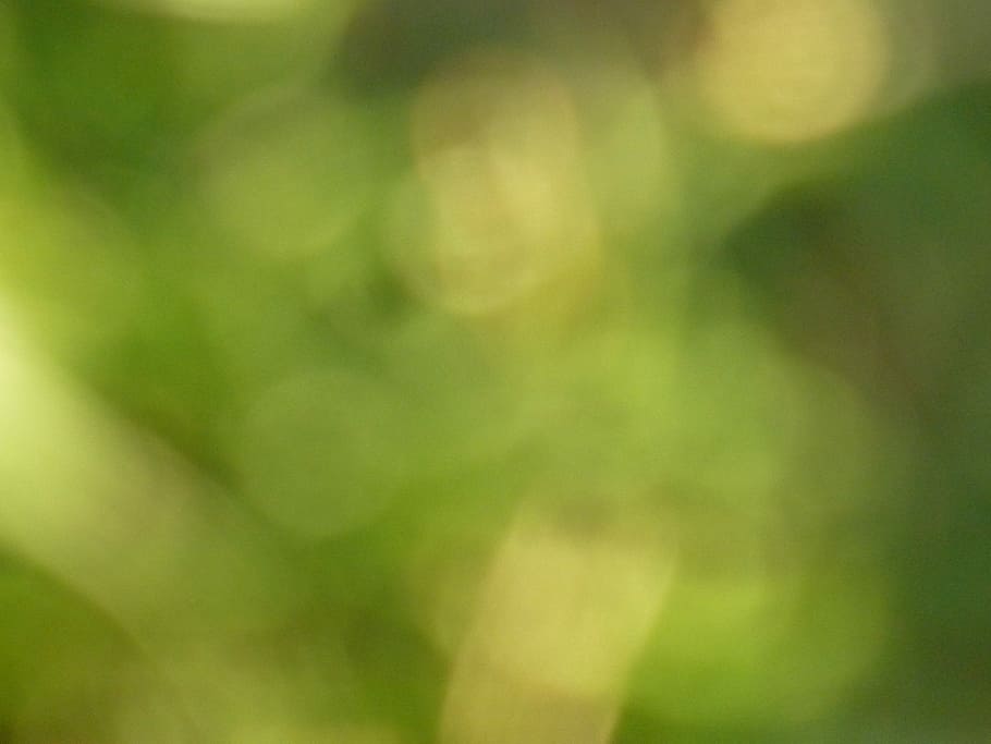 Green, untitled, bokeh, blur, nature, defocused, backgrounds HD wallpaper