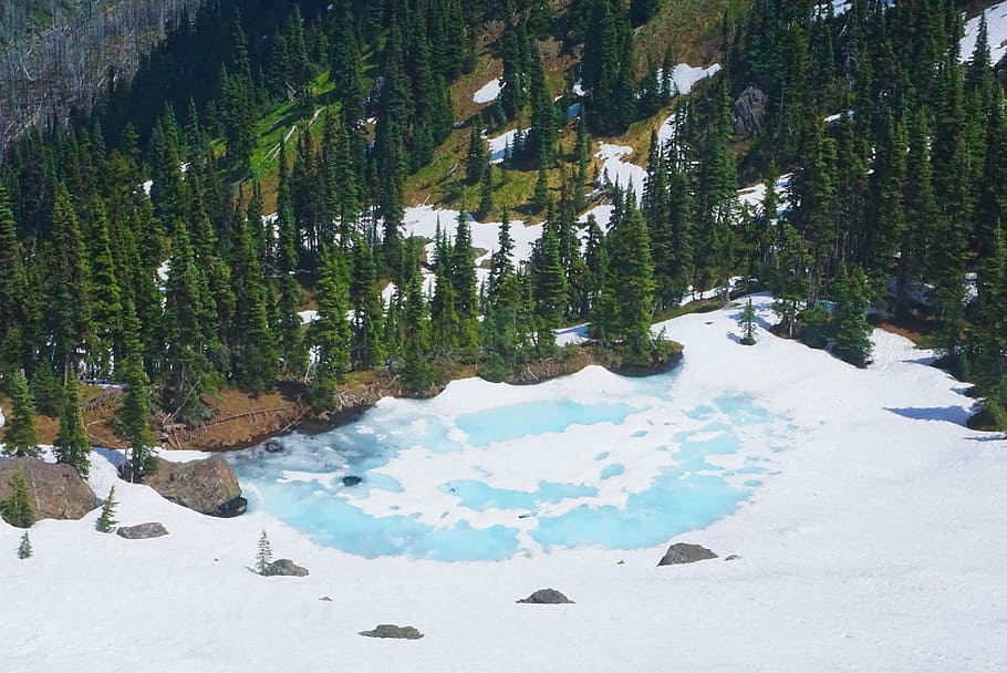 aerial view of green trees beside body of water, landscape photography of snow field with with green trees HD wallpaper