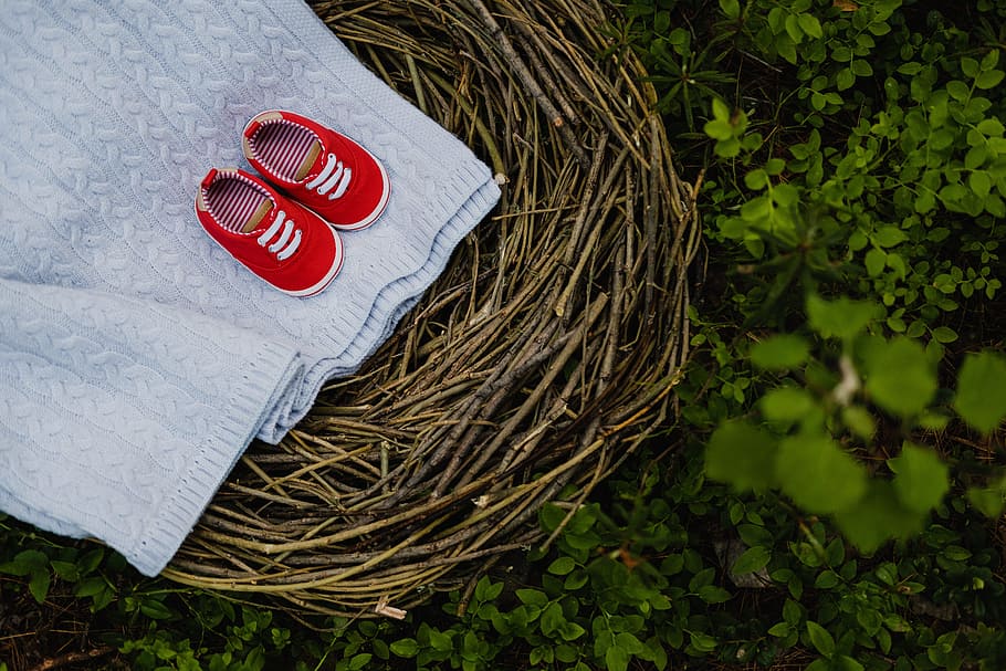 jack, kids, forest, red, plant, no people, high angle view HD wallpaper
