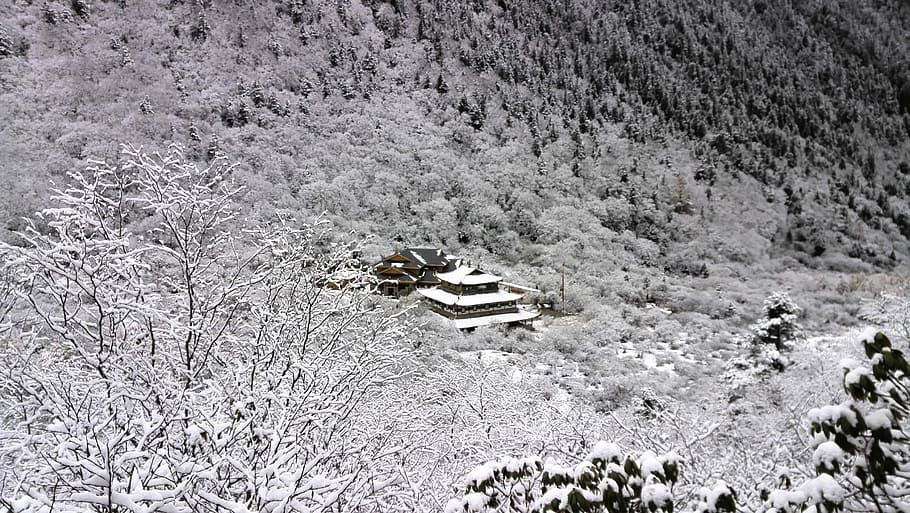 the mountains, monastery, snow, forest, winter, the yellow dragon HD wallpaper