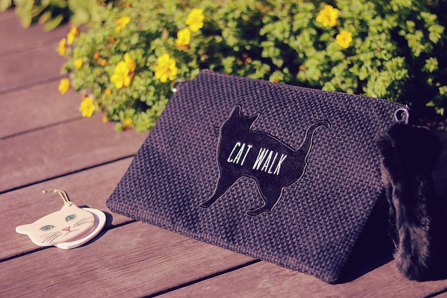 photography of black textile with Cat Walk print near brushes during day time HD wallpaper