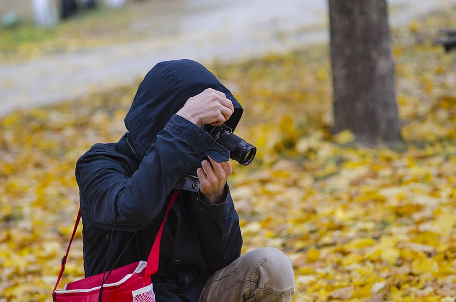 photographer, process, work, act, autumn, foliage, nature, fallen foliage HD wallpaper