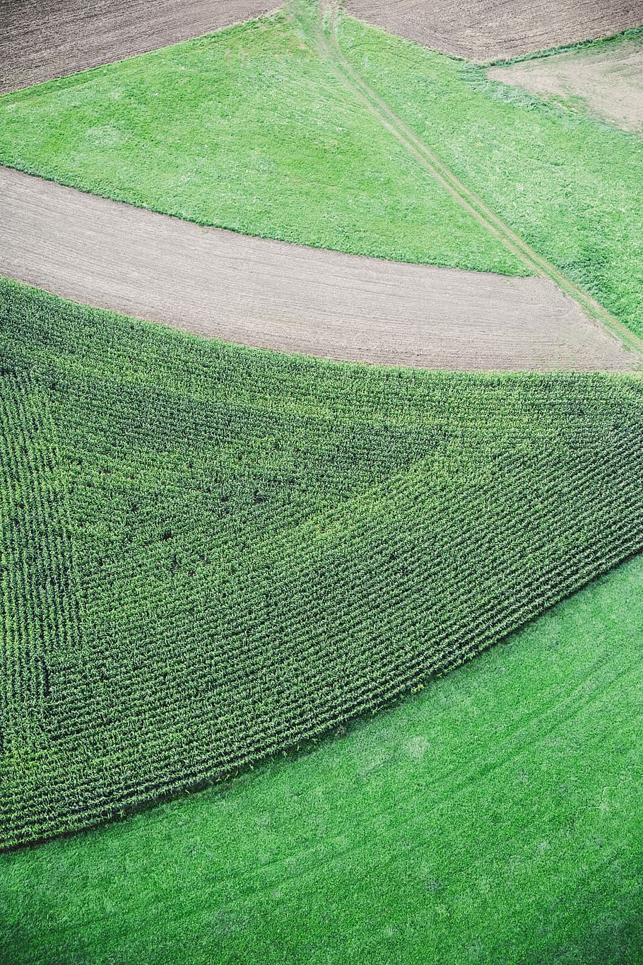 aerial view of green grass field, green lawn, ploughed, fruit HD wallpaper