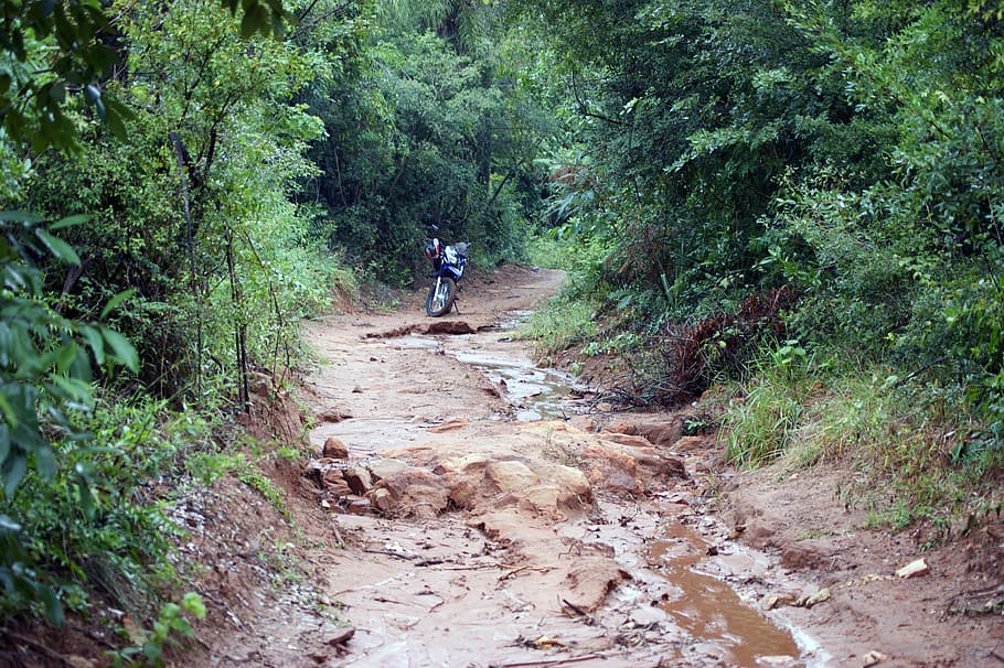 motorcycle, jungle, road, tree, rain, wet, paraguay, south america HD wallpaper