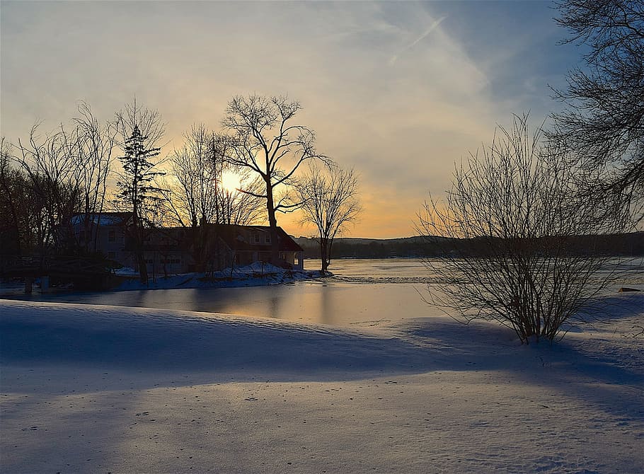 tree, silhouette, sunset, lake, winter, frozen, nature, tree silhouette HD wallpaper