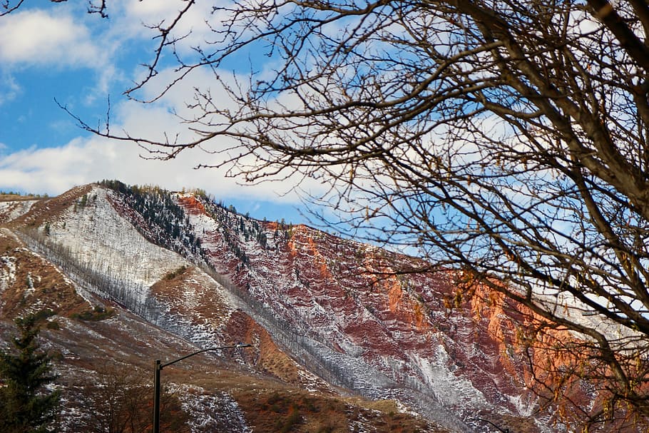 Mountain, Greenwood, Denver, Landscape, colorado, bare tree, HD wallpaper