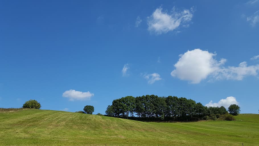 clouds, horizon, blue, trees, sky, grass, plant, cloud - sky HD wallpaper
