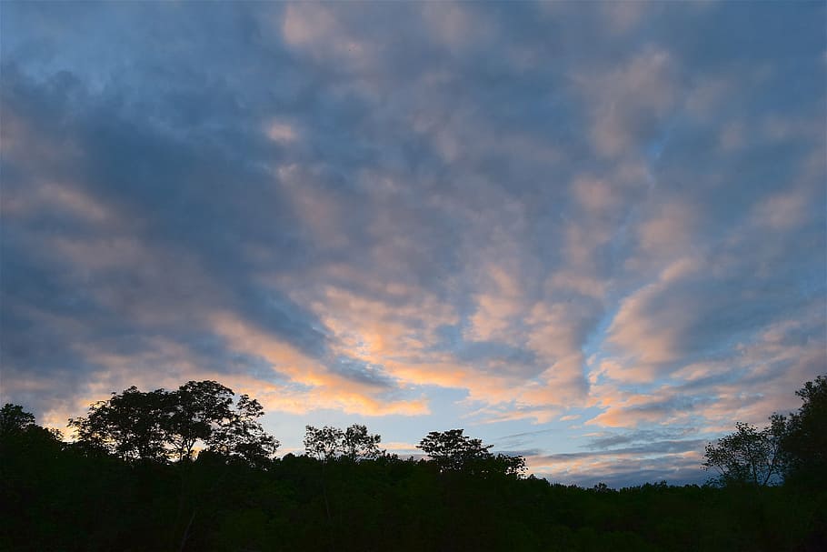 sky, sunset, clouds, light, nature, natural, trees, silhouette HD wallpaper