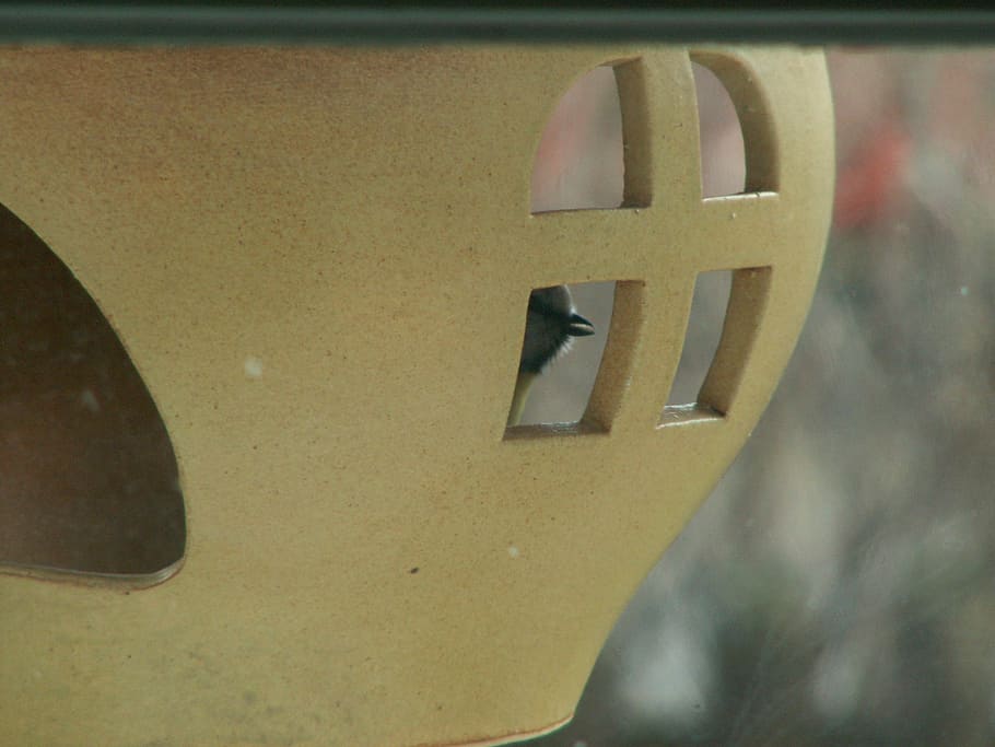 birdhouse, ceramic, clay, beige, close-up, communication, no people HD wallpaper