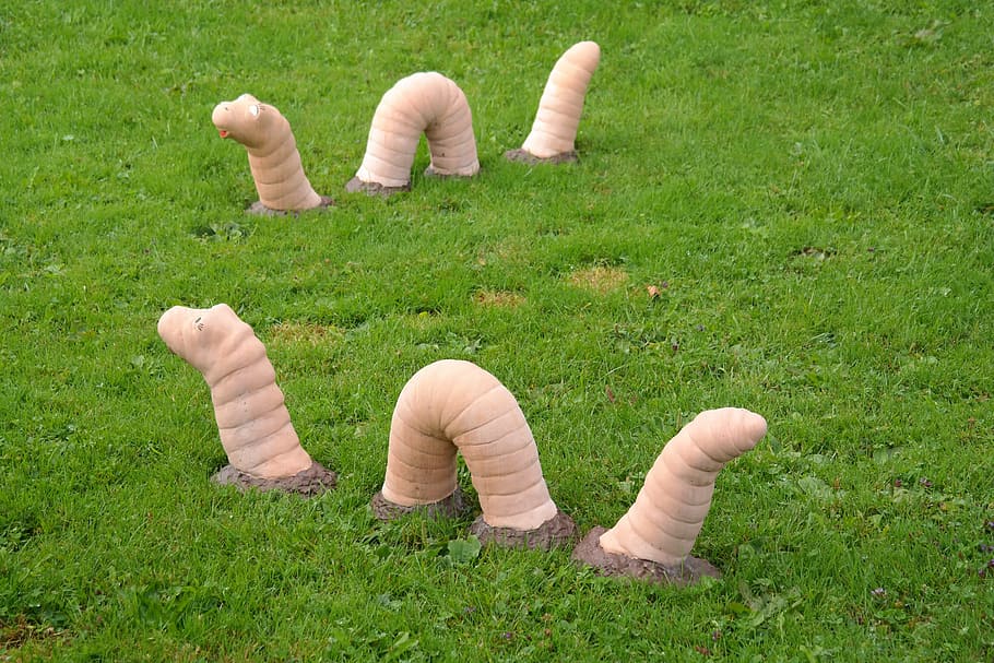 earthworm, snake, large, meadow, animal, sculpture, grass, outdoors HD wallpaper