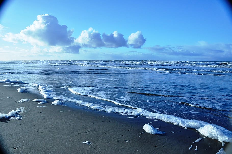 Light, Summer, Sun, Beach, Hell, Sand, coast, sea, north sea HD wallpaper