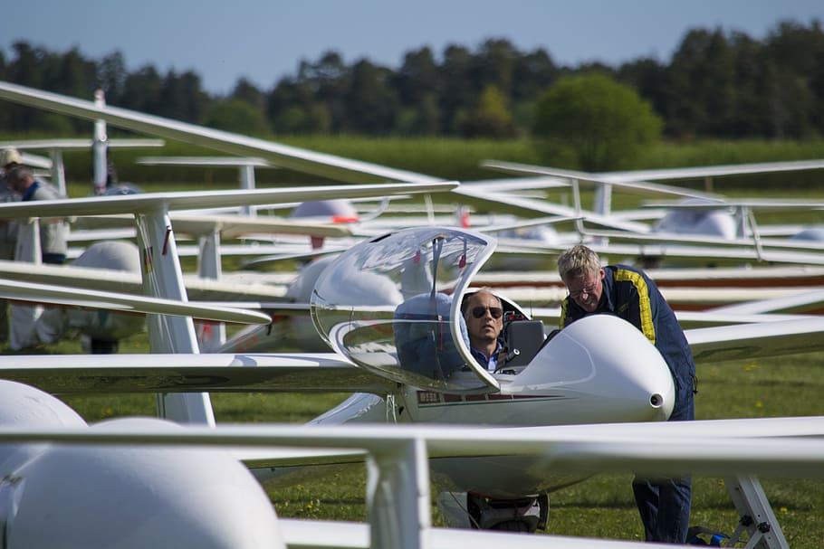 gliding, glider, summer, competition, flight, aircraft, outdoors HD wallpaper