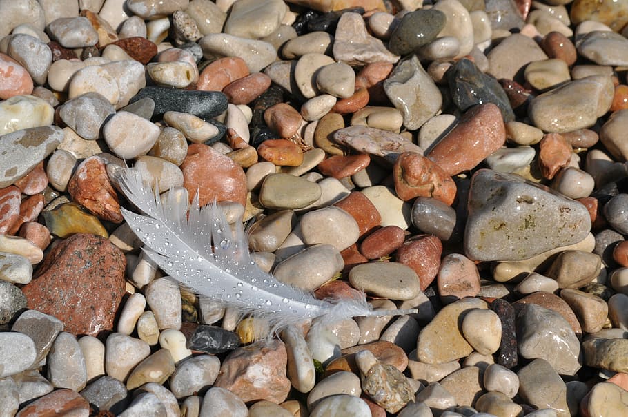 feather, pebbles, stone, drops, no people, large group of objects HD wallpaper
