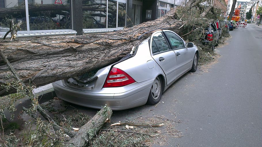 tree fall down on top of car, fallen tree, auto, forward, tornado HD wallpaper
