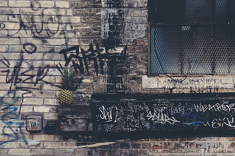 pineapple fruit on top of brown edge, vandals on white brick wall HD wallpaper