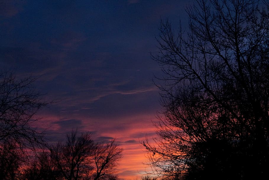 sunset, colors, brilliant, trees, sky, clouds, oklahoma, midwest city HD wallpaper