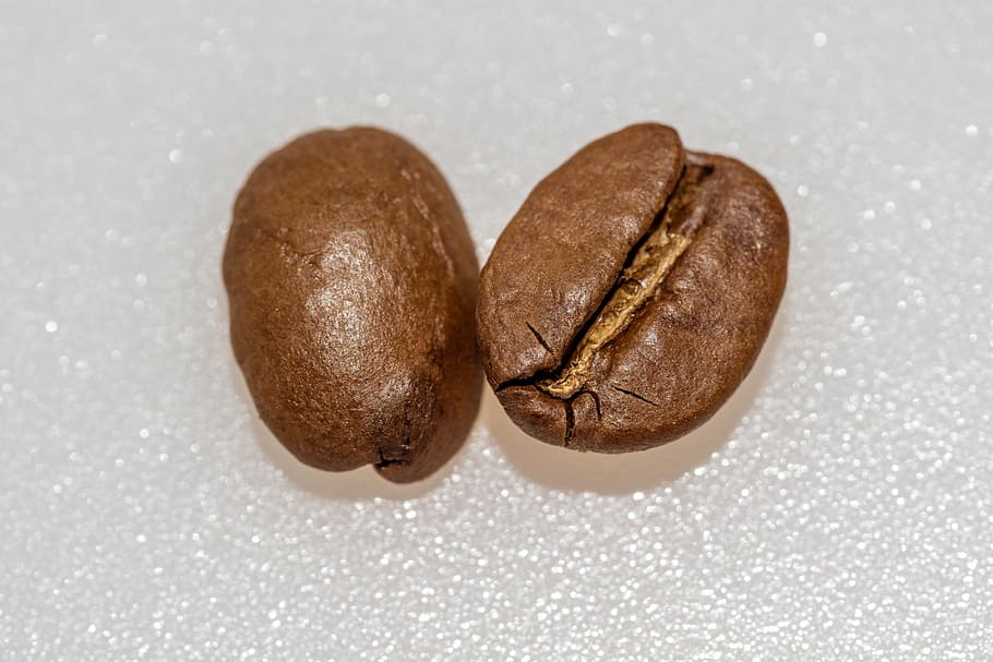 two coffee beans on white surface, roasted, caffeine, macro HD wallpaper