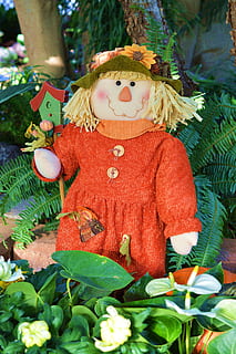 scarecrow, doll, fall, autumn, harvest, october, hat, thanksgiving HD wallpaper