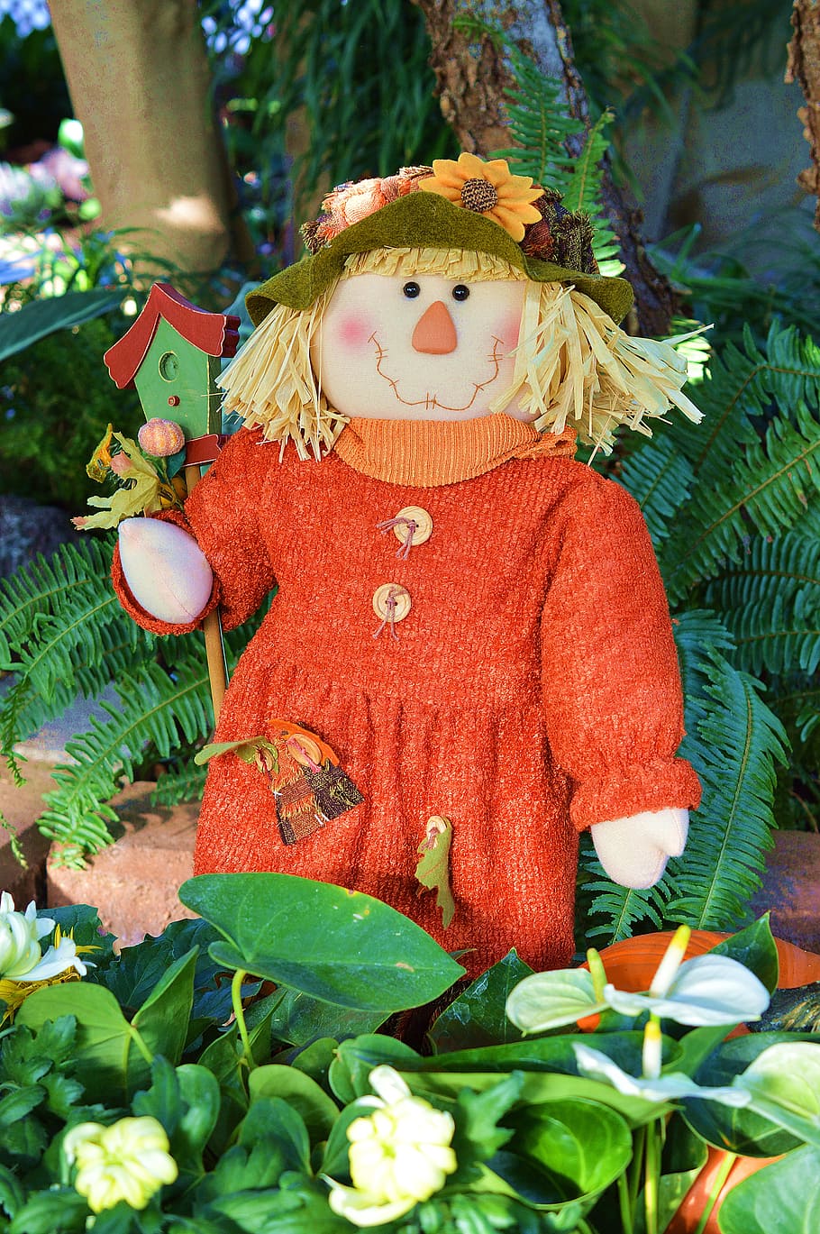 scarecrow, doll, fall, autumn, harvest, october, hat, thanksgiving HD wallpaper