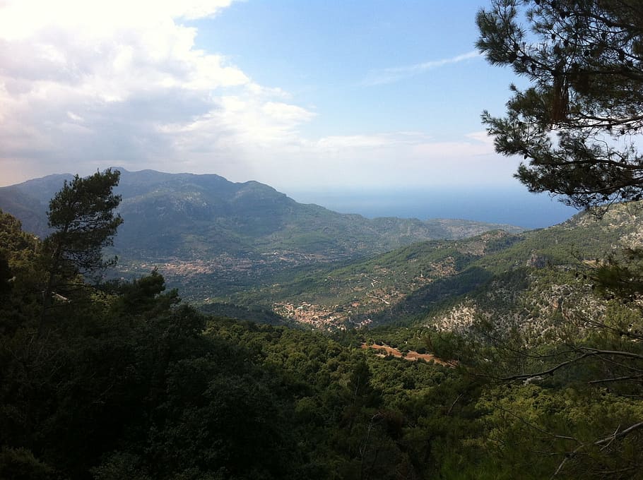 Forest, Trees, Woods, Nature, mountain, green, mallorca, spain HD wallpaper