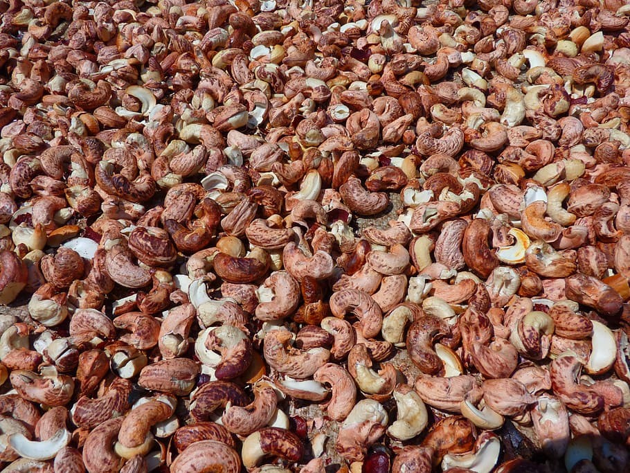 HD wallpaper: Cashew Nut, Roast, Plant, food and drink ...