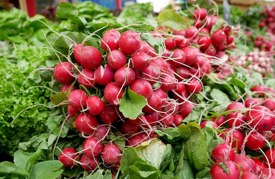 radishes, vegetables, food, red, eat, healthy, market, raw, HD wallpaper