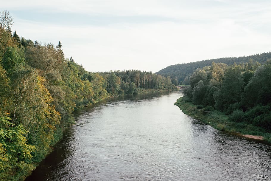 Gauja River, landscape, nature, forest, water, tree, scenics HD wallpaper