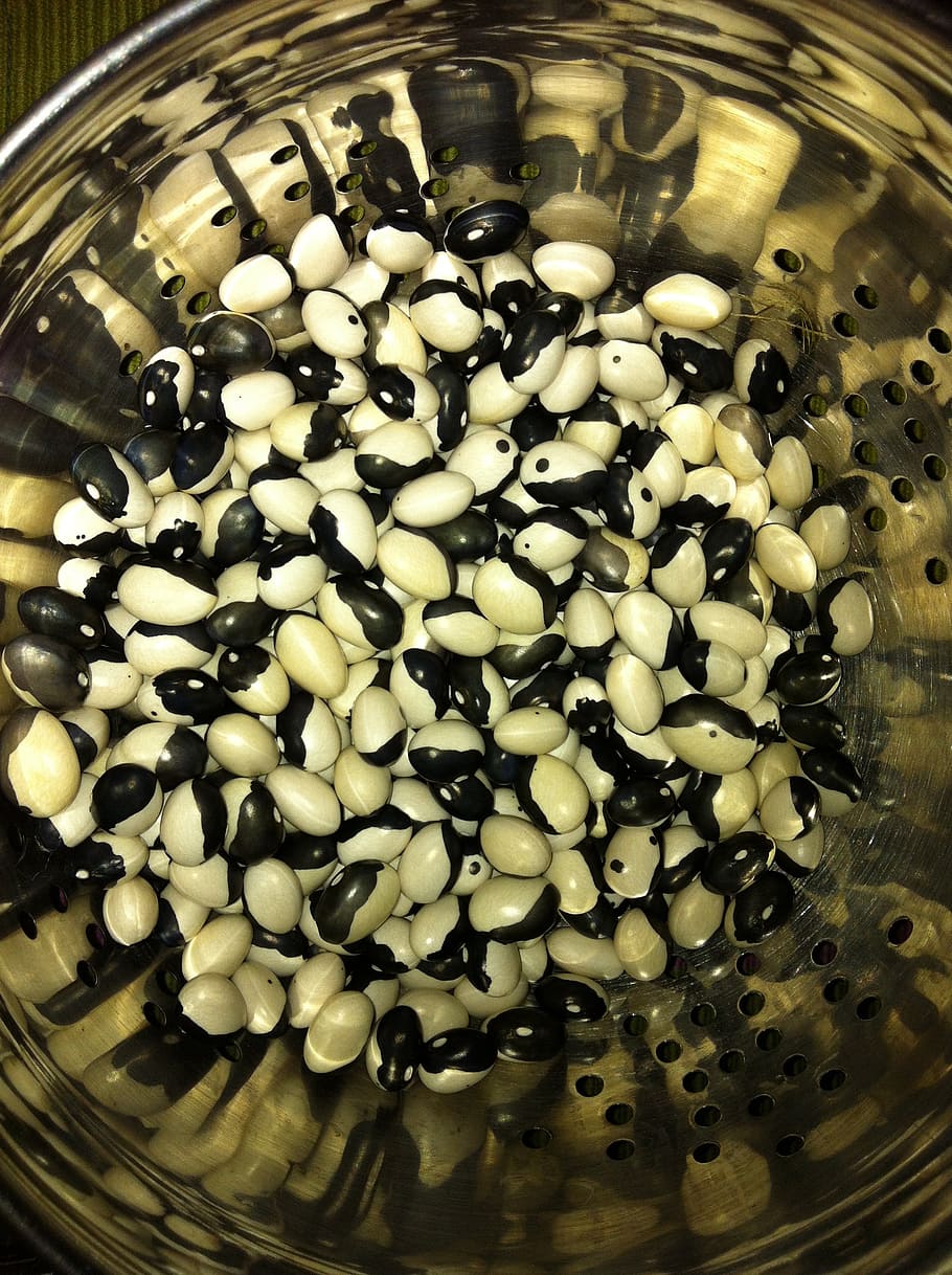 beans, peace, yin yang, orca, food, vegetable, garden, food and drink HD wallpaper