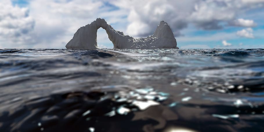 iceberg, sea, mer de glace, arctic, arctic ocean, water, mammal, HD wallpaper