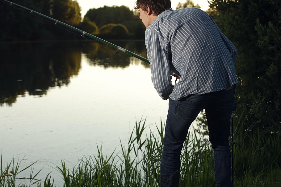 angler, fish, voltage, hobby, water, fischer, fishing, fishing rod HD wallpaper