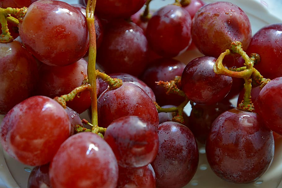 grapes, vine, clusters, power, food, table, fall, france, fruit HD wallpaper