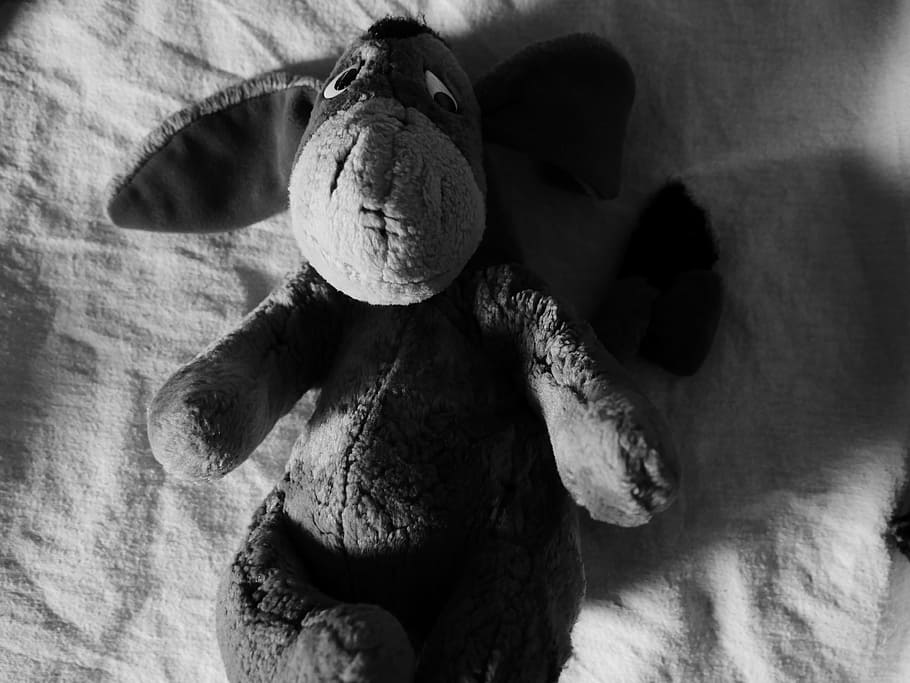 Eeyore, Black, White, Toy, black And White, close-up, nature