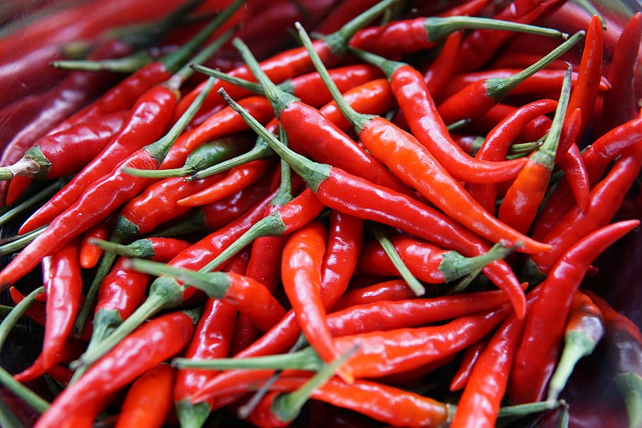 Chilis, close-up photo of chilli, pepper, red, vegetable, spicy HD wallpaper
