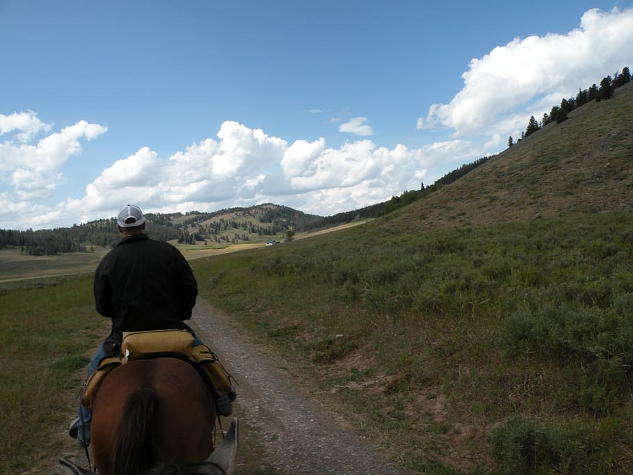 riding, path, nature, rear view, sky, cloud - sky, ride, horse HD wallpaper
