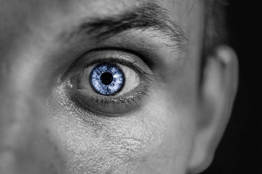 Eye, Face, Portrait, Skin, People, young, person, face to face HD wallpaper
