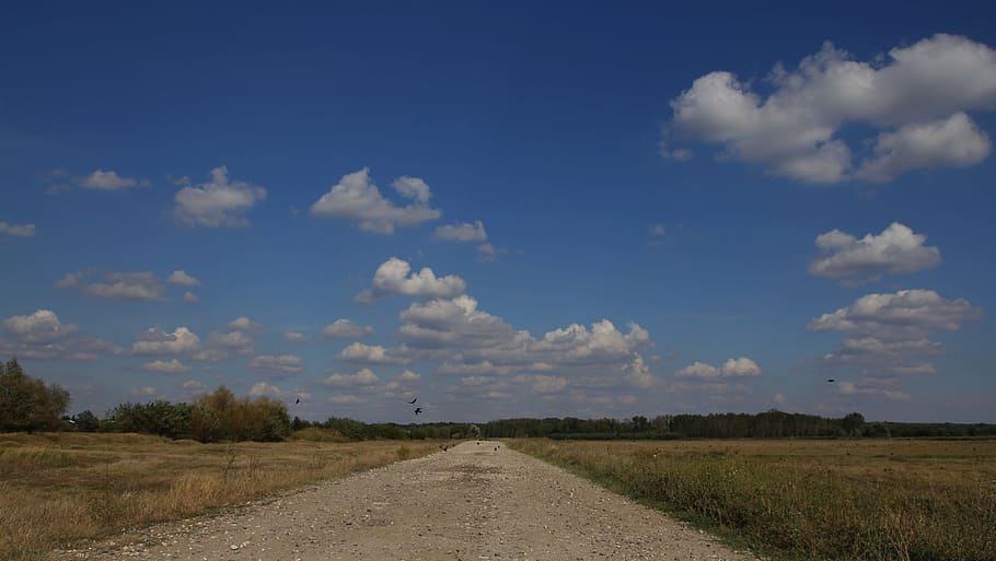 landscape, road, cloud, sky, fluffy, direction, the way forward HD wallpaper