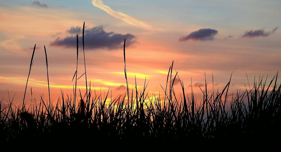 sunset, grass, twilight, landscape, clouds, sky, cloud - sky HD wallpaper