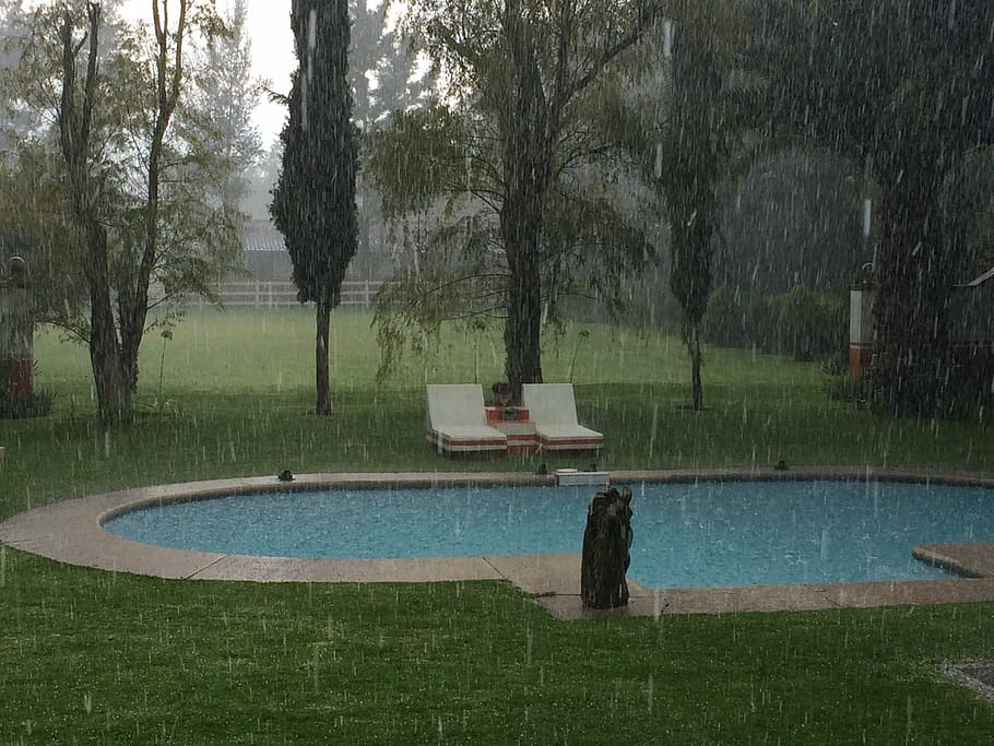 rain, water, pool, tree, plant, nature, grass, swimming pool HD wallpaper