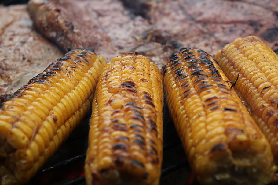 grilling, meat, corn, mat, good, fest, hungry, food, food and drink HD wallpaper