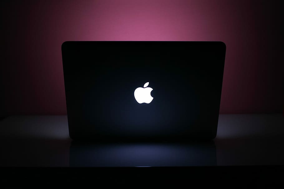 MacBook Pro at Pink Night, dark, laptop, technology, wall, working