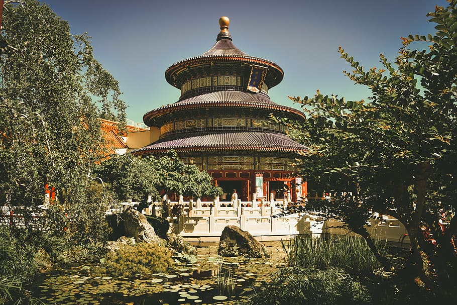 brown and black temple with green trees under clear blue sky, HD wallpaper