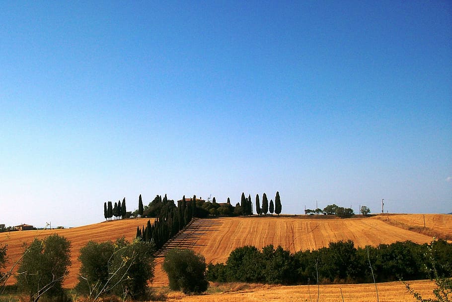 tuscany, landscape, house, blue, sky, cypress, agriculture, HD wallpaper