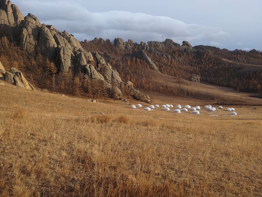 mongolia, national park, steppe, autumn, gold, brown gold brown, HD wallpaper